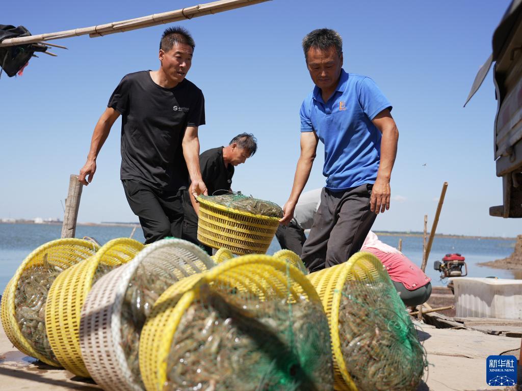博牛注册码